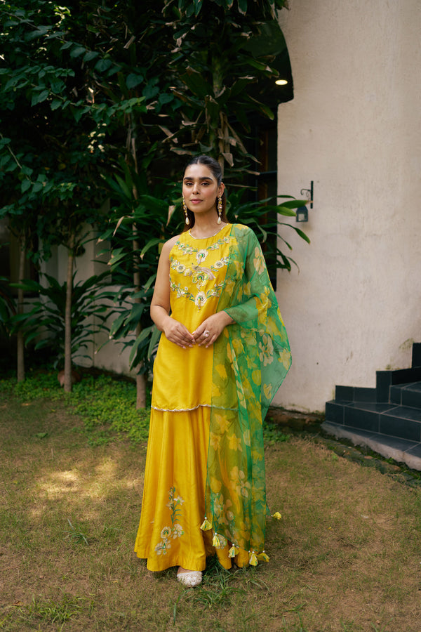 Golden Meadow Appliqué Sharara Set