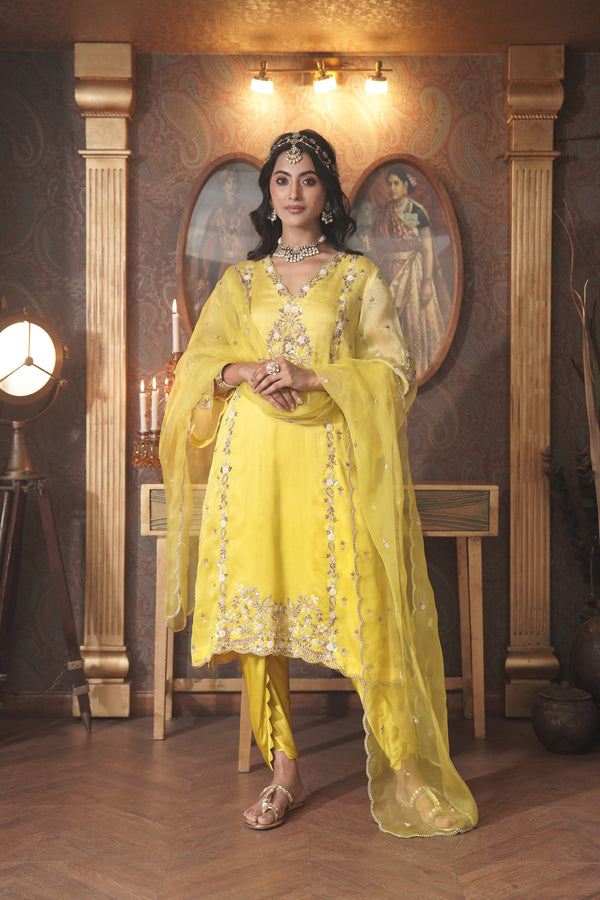 Sunny Delight Organza Kurta Set